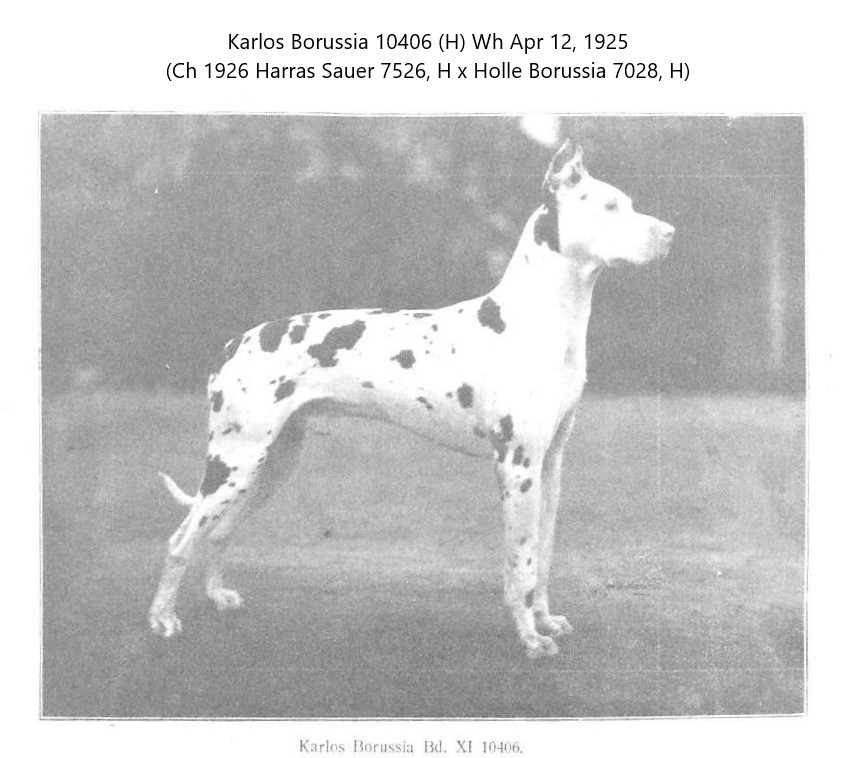 Karlos Borassia